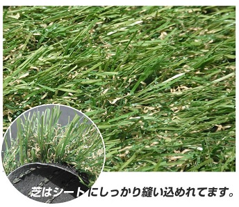 人工芝アップ