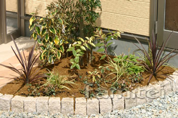 おすすめ下草 植え方バランス おすすめ下草 植え方バランス