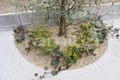 植栽スペース 下草