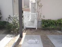 ��������⡡LIXIL(�ꥯ����) �ץ�쥪R2��