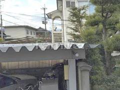 ��־첰�� ��¸��������� �ɻ�����