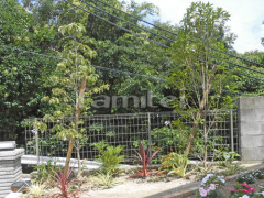 シンボルツリー 下草 低木 植栽