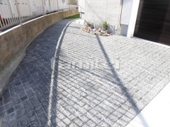 ���ؤޤ�� ���ץ����� ����Ž�� �����