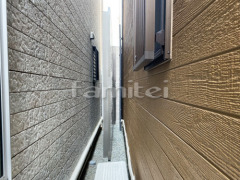 �ɲ��ե���ʽ �͹�����TNF1��