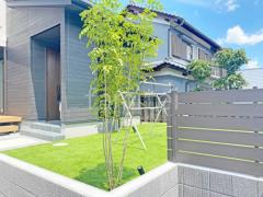 シンボルツリー シマトネリコ