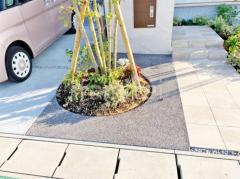 �������Ф��ž夲 �������� ��Į��