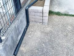 ����Ĺ