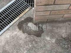 �������� ��¸�����Ȳ���ű�� ��륿���佤