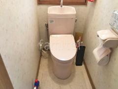 ���󥯼��ȥ���  TOTO �ԥ奢�쥹�ȣѣ� 