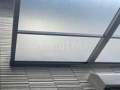 ���ο� ���㥤�󥰥졼 ������ ���ꥢ�ޥå�