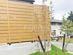 シンボルツリー ホンコンエンシス 常緑樹 植栽