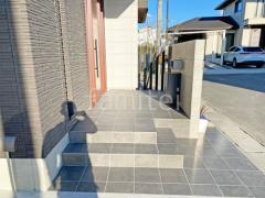 ���إ��ץ����� ��������Ž��