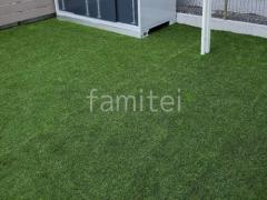�͹��� �襷�ߥ��ӿ� �ꥢ��͹��� 35mm