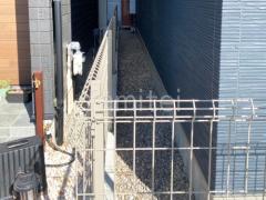 ���ο����ץ���ʥ��ƥ� 