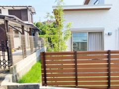 ����ܥ�ĥ꡼   ���ޥȥͥꥳ 