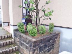 ���� �մ�������