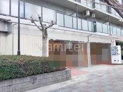 ���ο� ���㥤�󥰥졼 ������ ���ꥢ�ޥå�