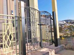 ξ���� ���� ��������� ���㥹�꡼��5�� 
