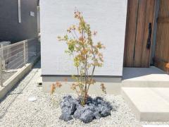 ����ܥ�ĥ꡼ �ܼ�ٵ� ���å������ǥ� ���ι��� ����å�����å� ���å���֥�å�