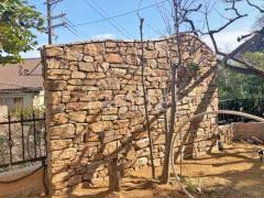�ɥ�����ĥ�� ��˥��� �֥쥷�����ȡ��󥹥��