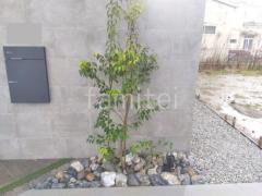 ロックガーデン 栗石敷き シンボルツリー ソヨゴ 常緑樹 植栽