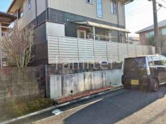 本体色 シャイングレー