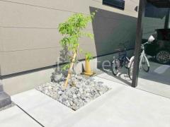 シンボルツリー 落葉樹 マルバアオダモ 植栽 ロックガーデン 割栗石敷き