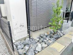 シンボルツリー ソヨゴ 常緑樹 植栽