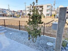 シンボルツリー ソヨゴ 常緑樹 植栽