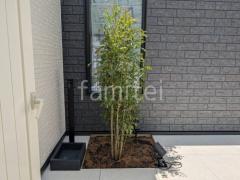 植栽 シンボルツリー 施主支給